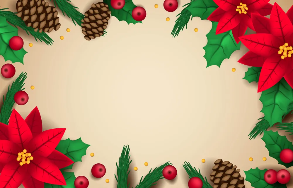 一品红花卉背景预览图 Poinsettia Flowers Background