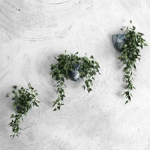 墙上壁挂花盆绿色植物常春藤3D模型预览图
