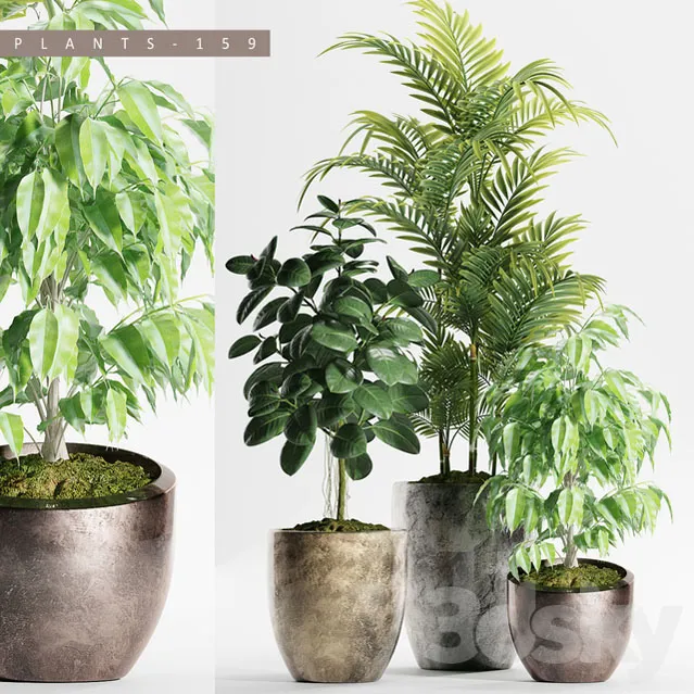 绿色棕榈植物盆栽3D模型预览图