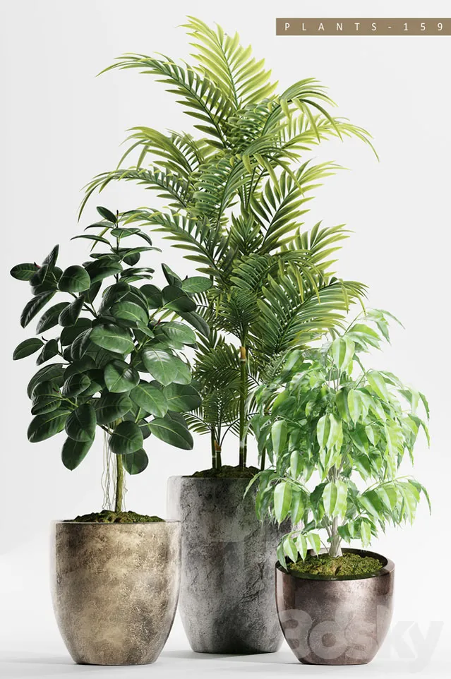 绿色棕榈植物盆栽3D模型预览图1