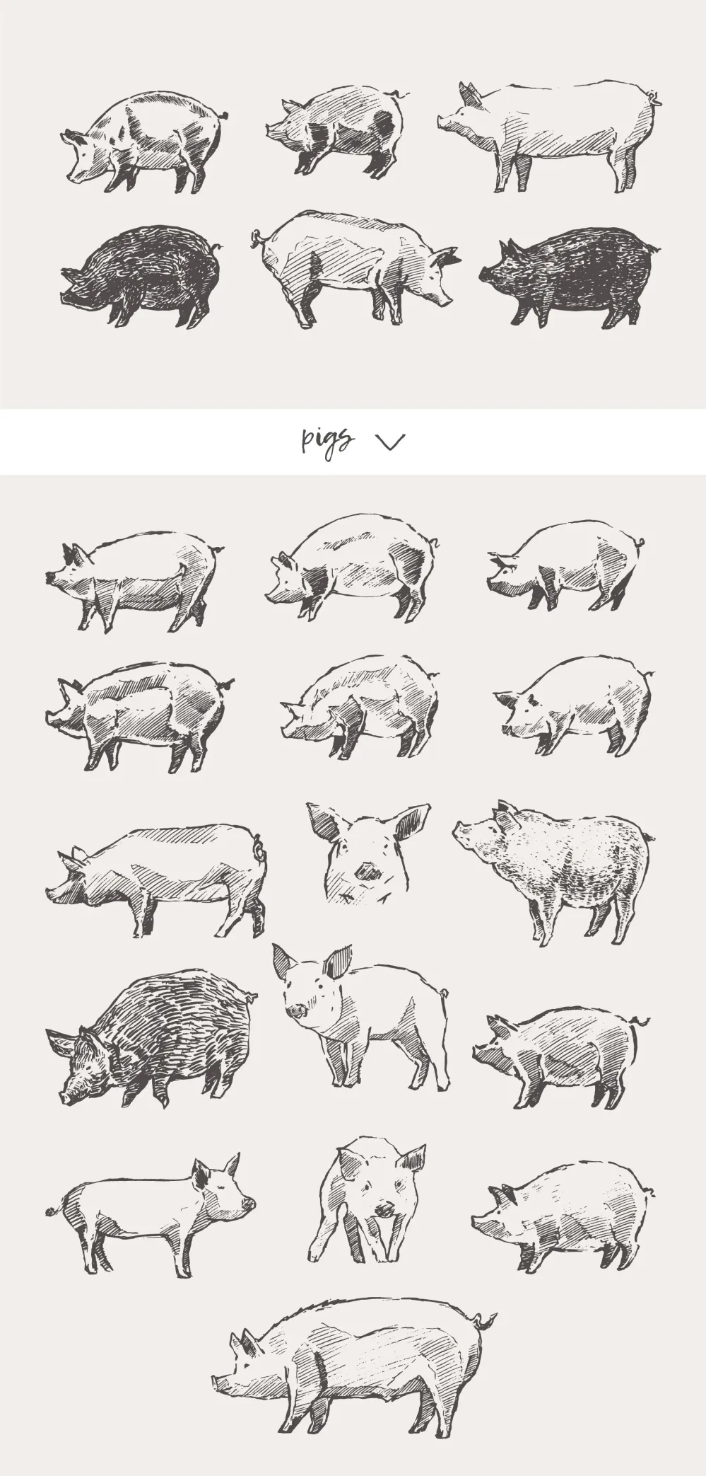 森林动物和海洋生物插图预览图11