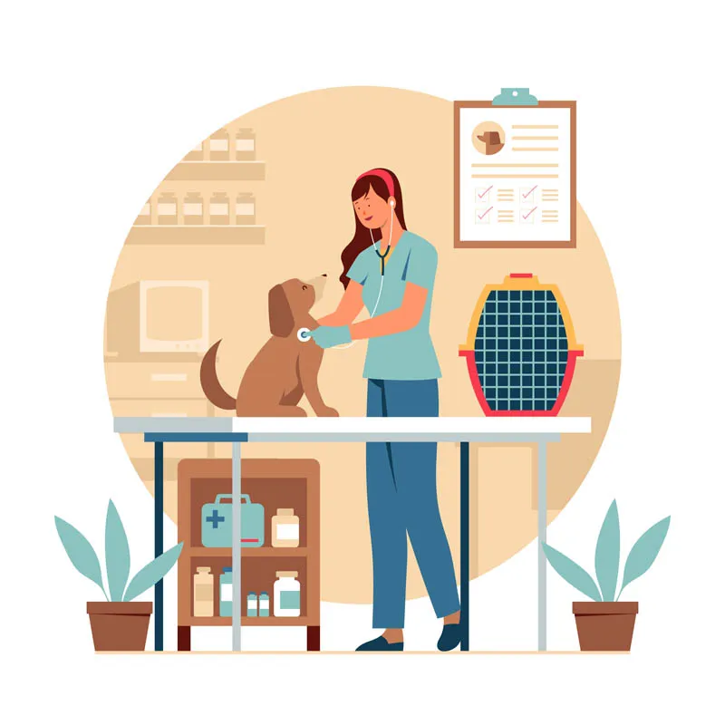 Female Veterinarian Diagnosing a Dog