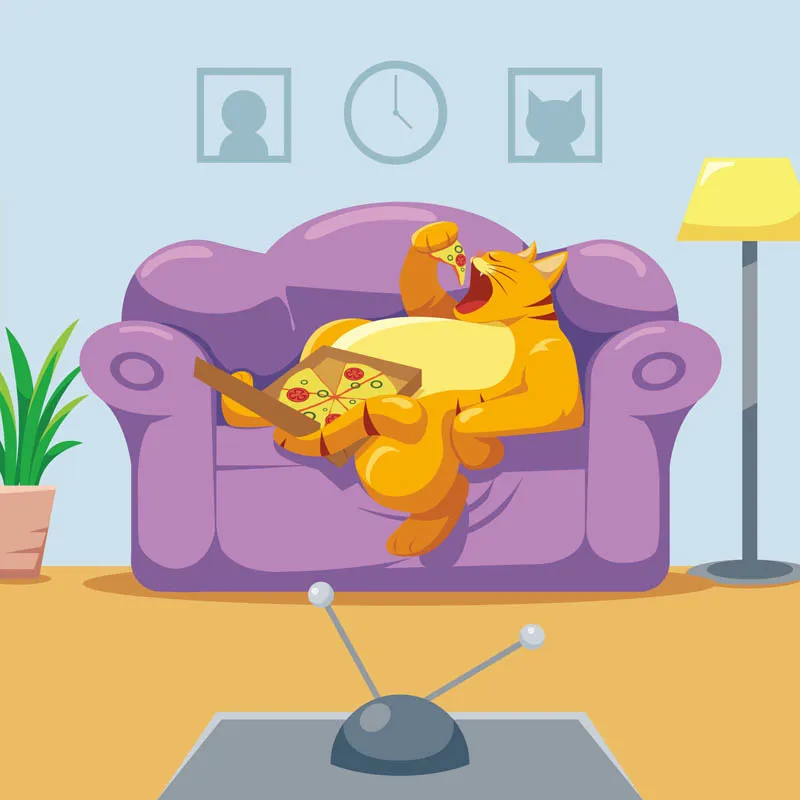 Lazy Orange Cat Lying on The Sofa Eating Pizza