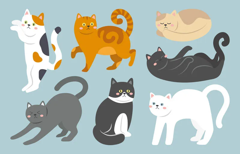 Cute Cat Character Set