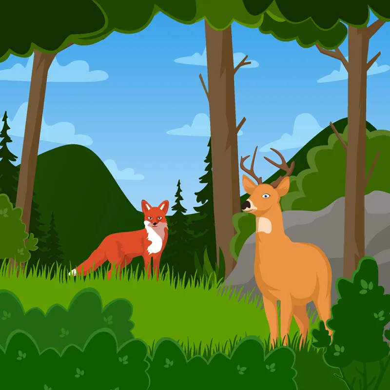 Wildlife in The Woods Concept