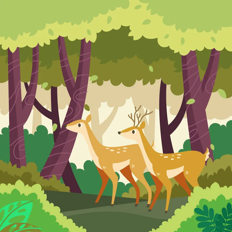 Tropical Forest and Animals Concept