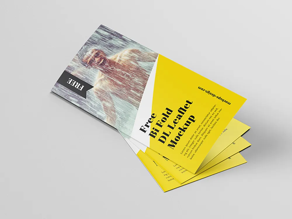 双折DL小册子样机预览图