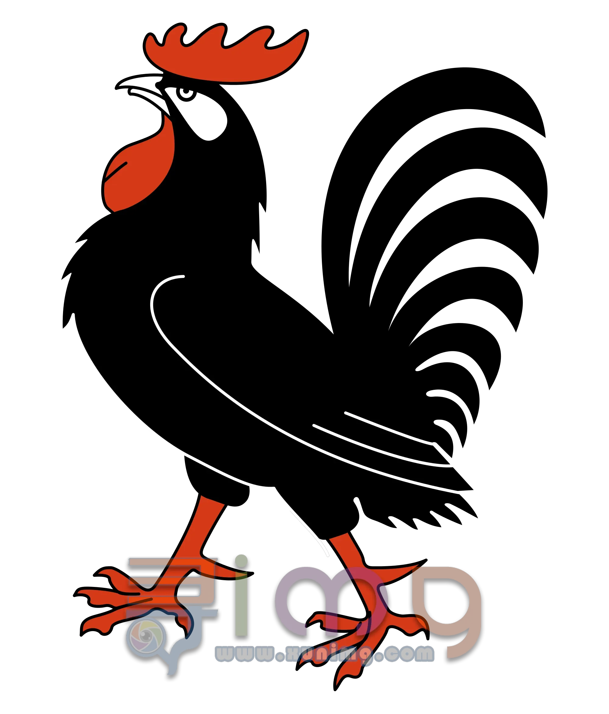 公鸡PNG免扣图片，尺寸：2000×2343像素预览图