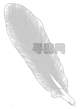 羽毛PNG免抠透明图片，尺寸：172×224像素预览图