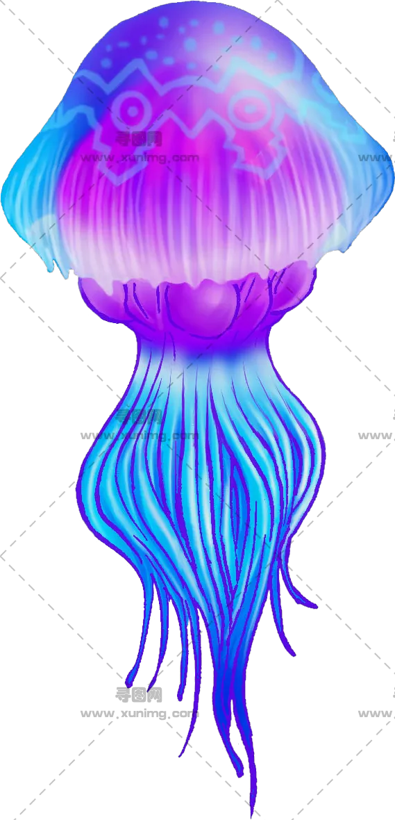 水母PNG免抠透明图片，尺寸：569x1180px预览图