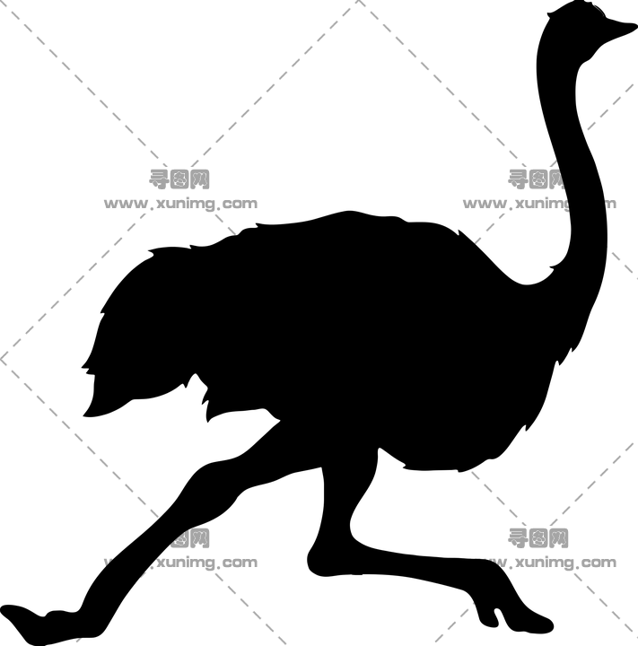 鸵鸟PNG透明免抠图片，尺寸：711×720像素预览图
