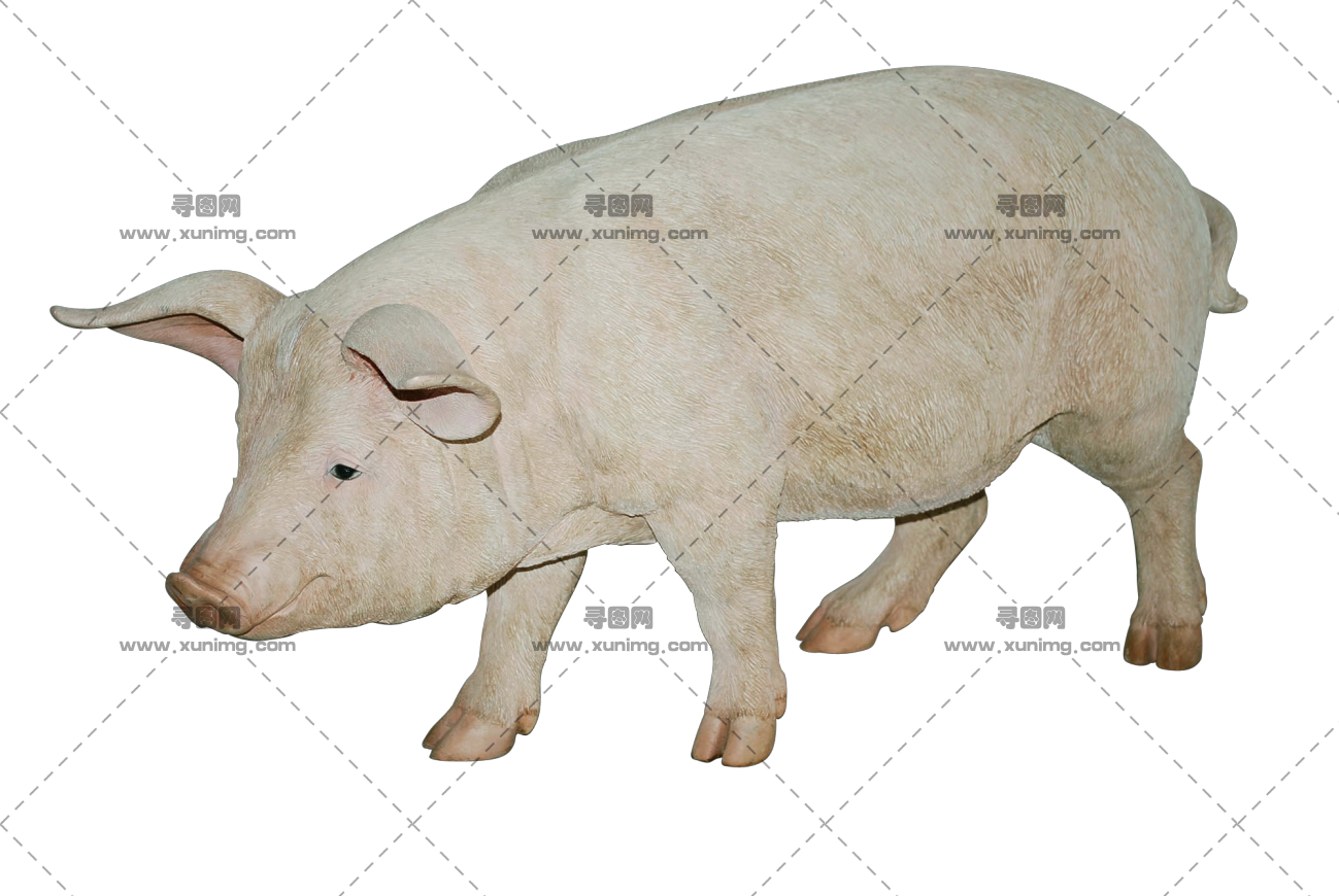 猪PNG图像透明免抠图片，尺寸：1299×870像素预览图