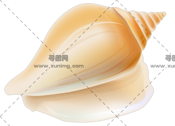 贝壳PNG透明免抠图片，尺寸：600×433像素预览图