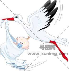鹳宝宝PNG透明免抠图片，尺寸：291×300像素预览图