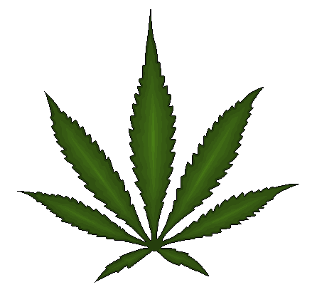 大麻PNG透明背景图片，尺寸为439×424像素预览图