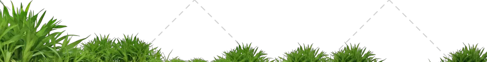 草地透明背景pNG免抠图片，绿草透明背景pNG免抠图片|分辨率：1900×245像素预览图