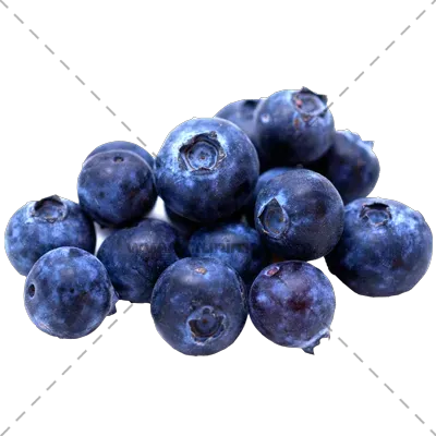 蓝莓PNG免抠图片|分辨率：1841×2320像素预览图