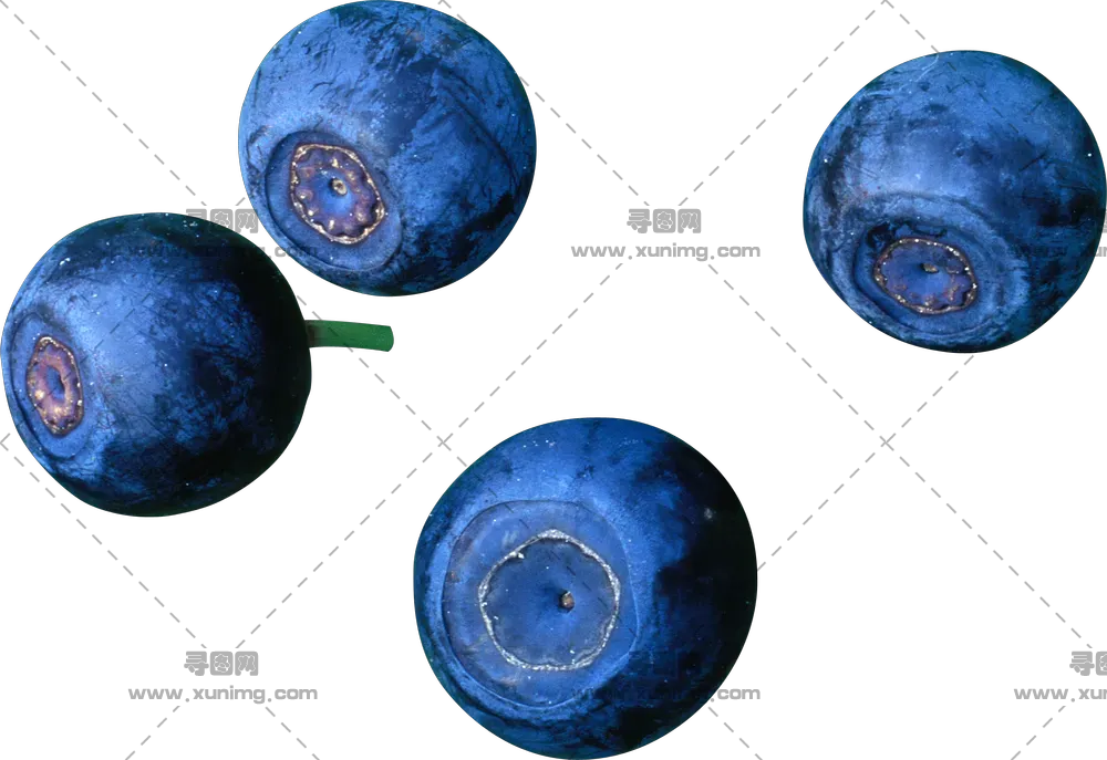蓝莓PNG免抠图片|分辨率：200×192像素预览图