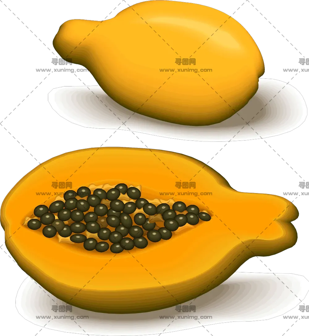 木瓜PNG免抠图片|分辨率：800×600像素预览图