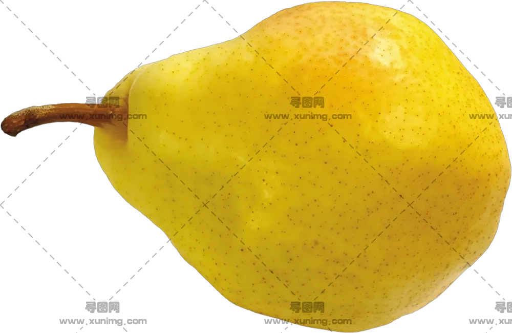 梨PNG免抠图片|分辨率：500×500像素预览图