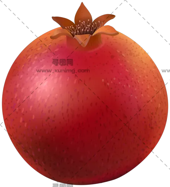 石榴PNG免抠图片|分辨率：2181×2364像素预览图