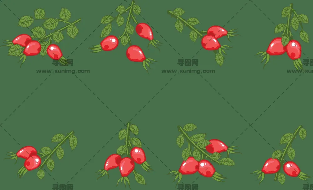 玫瑰果PNG免抠图片|分辨率：300×300像素预览图