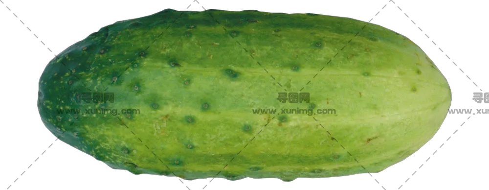 黄瓜PNG免抠图片|分辨率2443×949像素预览图