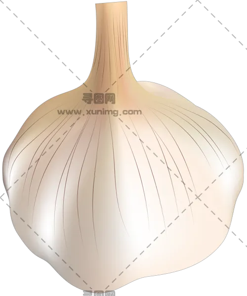 大蒜PNG免抠图片|分辨率500×600像素预览图