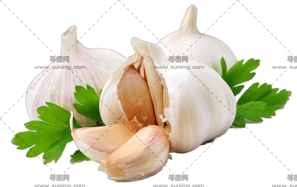 大蒜PNG免抠图片|分辨率1144×722像素预览图