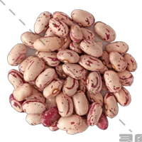 红芸豆PNG免抠图片|分辨率200×200像素预览图