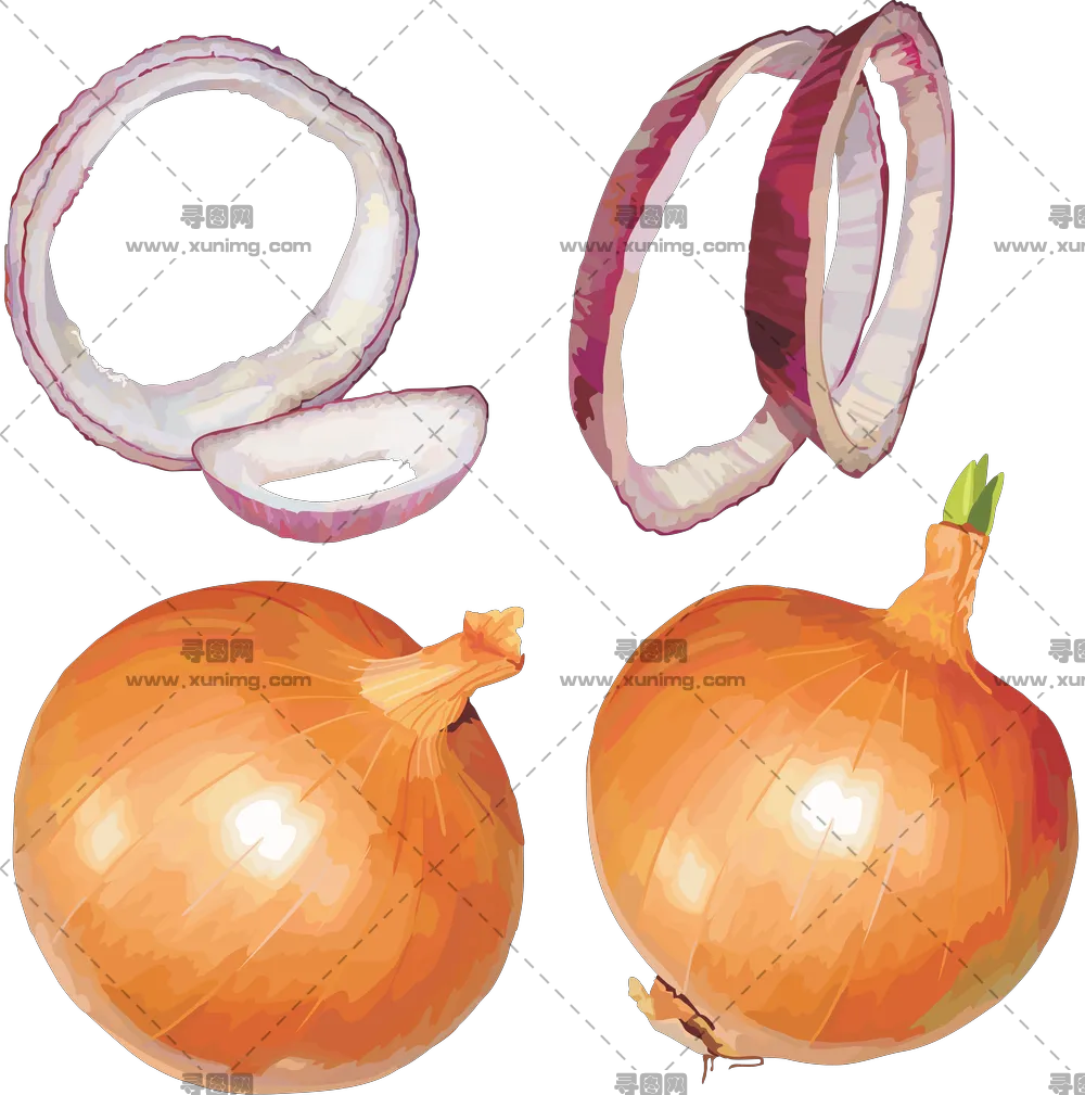 洋葱PNG免抠图片|分辨率5793×5843像素预览图
