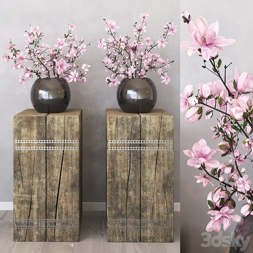 aaa_Magnolia_bbb预览图