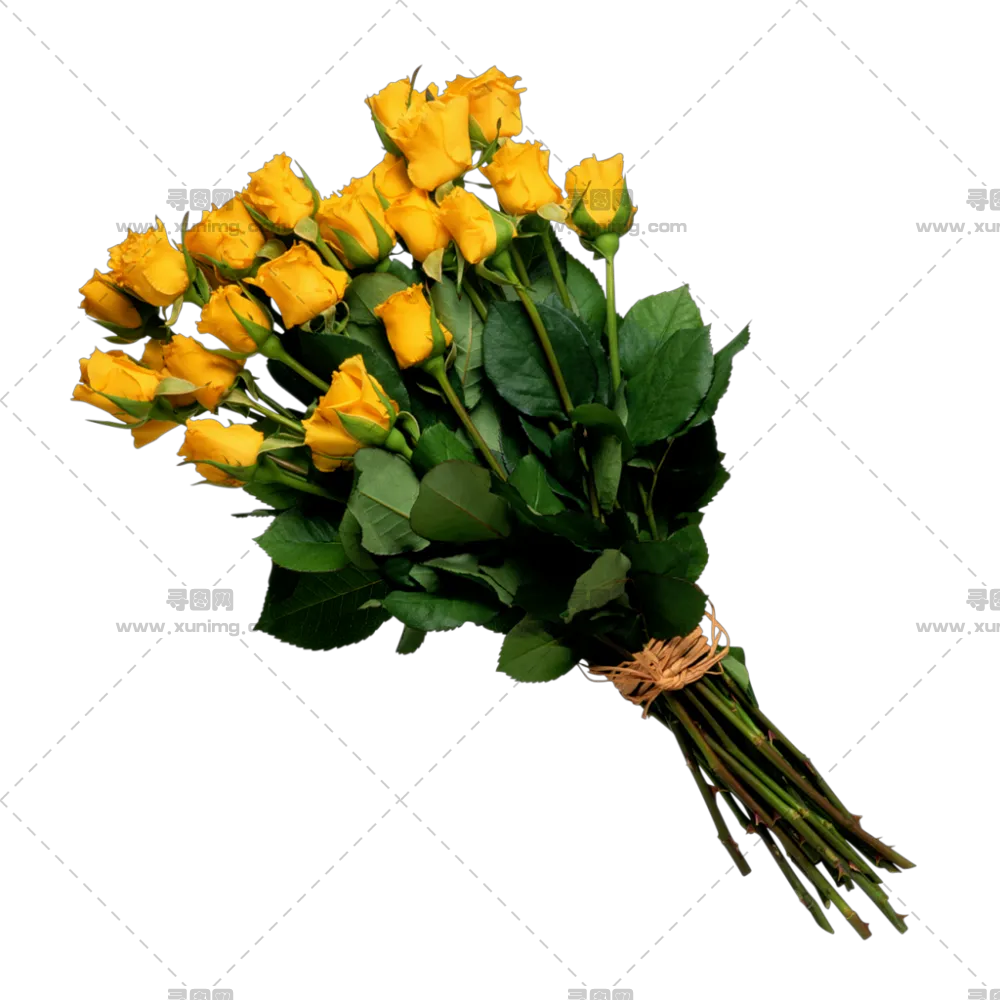 花束PNG免抠图片|分辨率1024×1024像素预览图