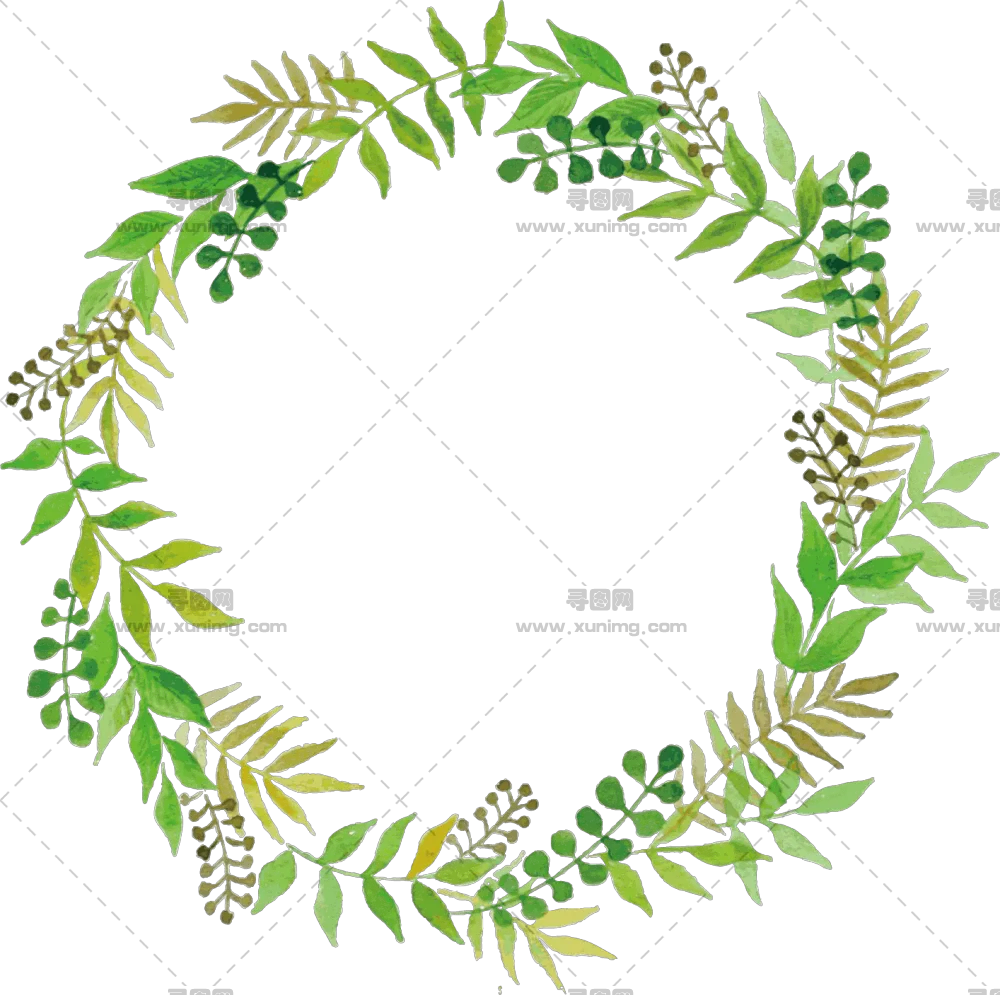 花卉边框PNG免抠图片|分辨率1414×1407像素预览图