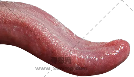 舌头pNG免抠图片|分辨率:440×255预览图
