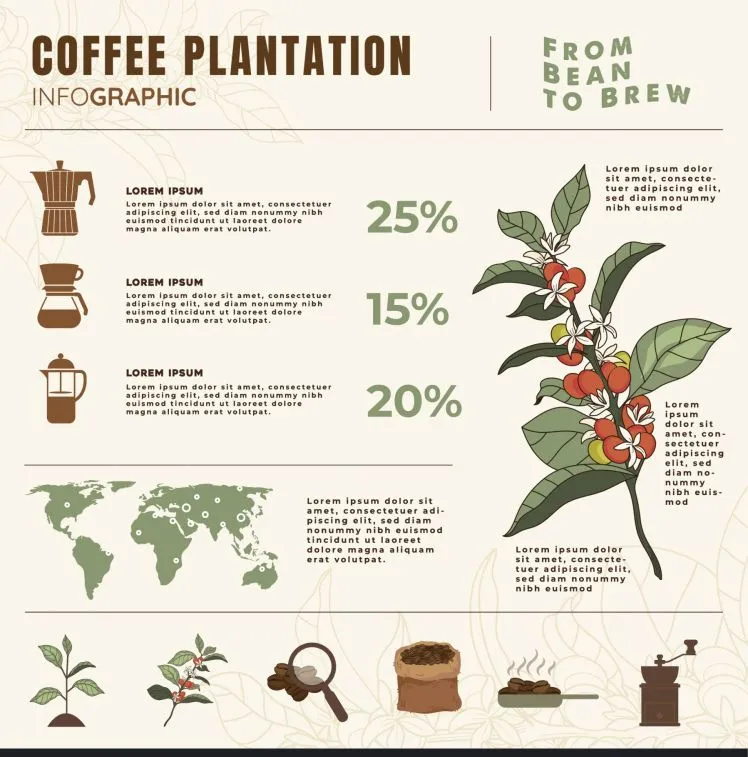 coffee infographic template classical elegance 