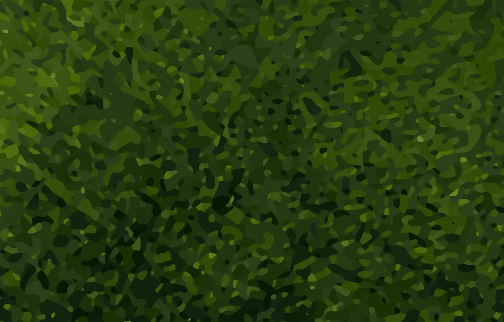 Green Fabric Background
