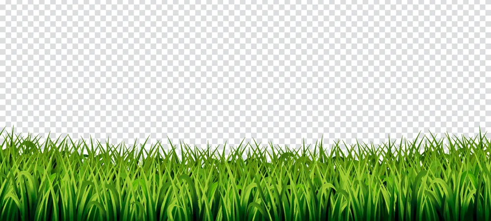 Grass Transparent Background