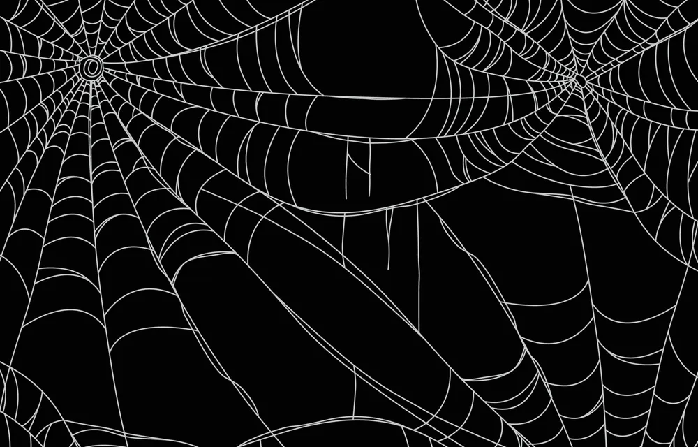 Spider Web Background