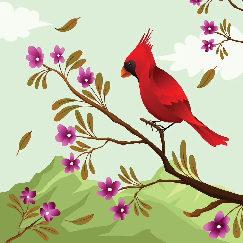 Cardinal Bird in Spring Background