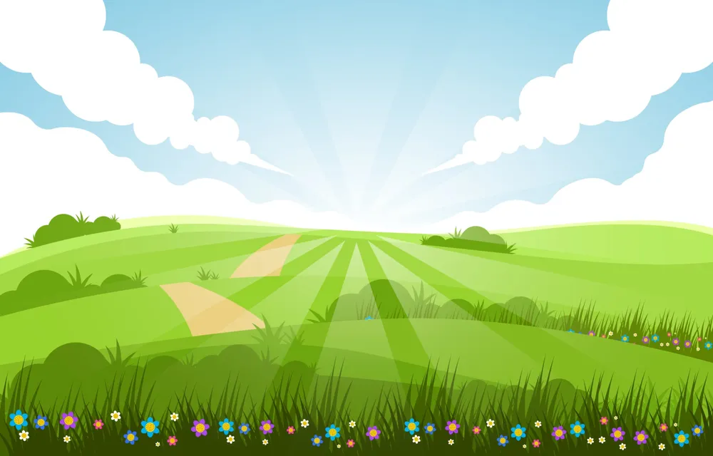 Green Field Summer Scenery Background