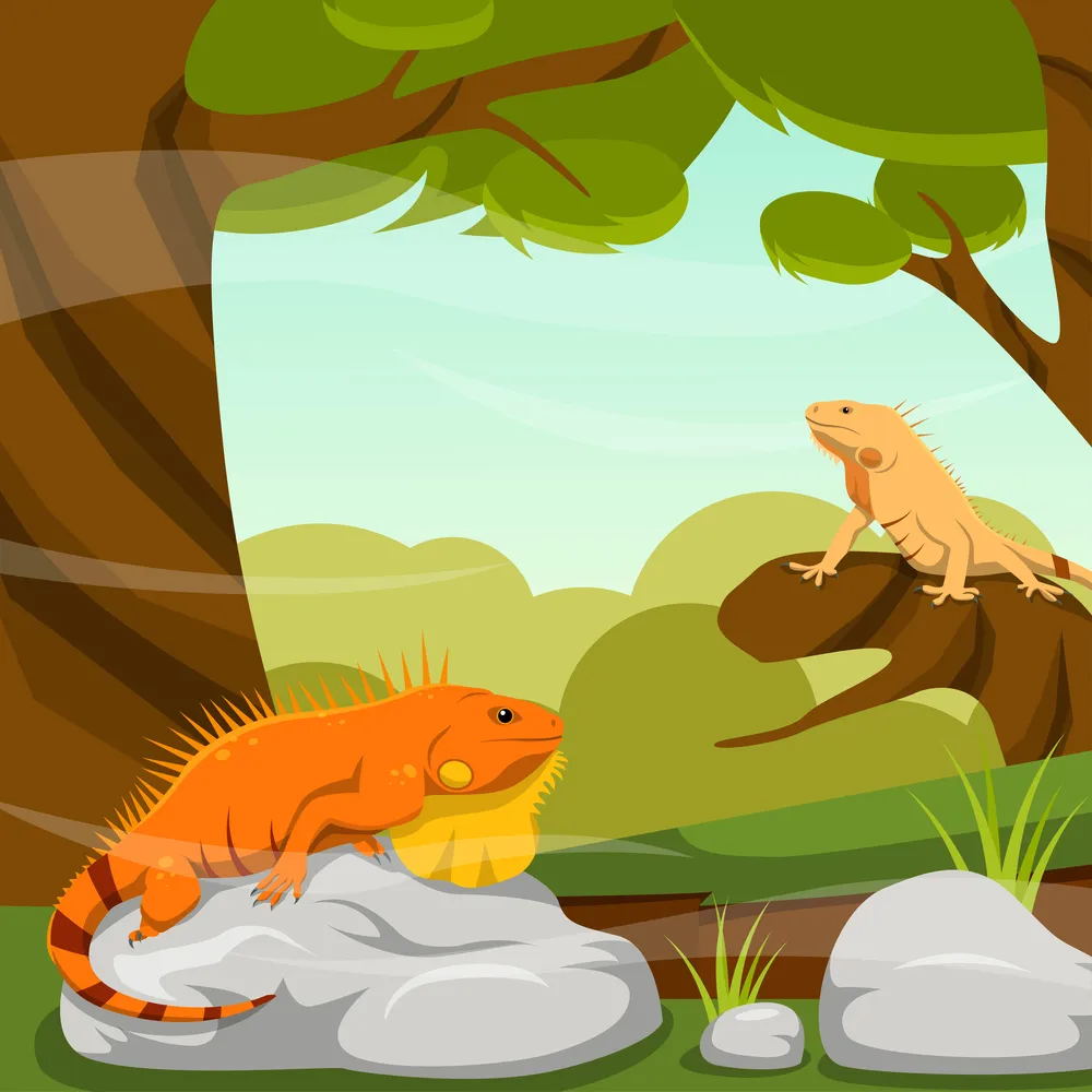 Exotic Pets Background with Iguana Concept