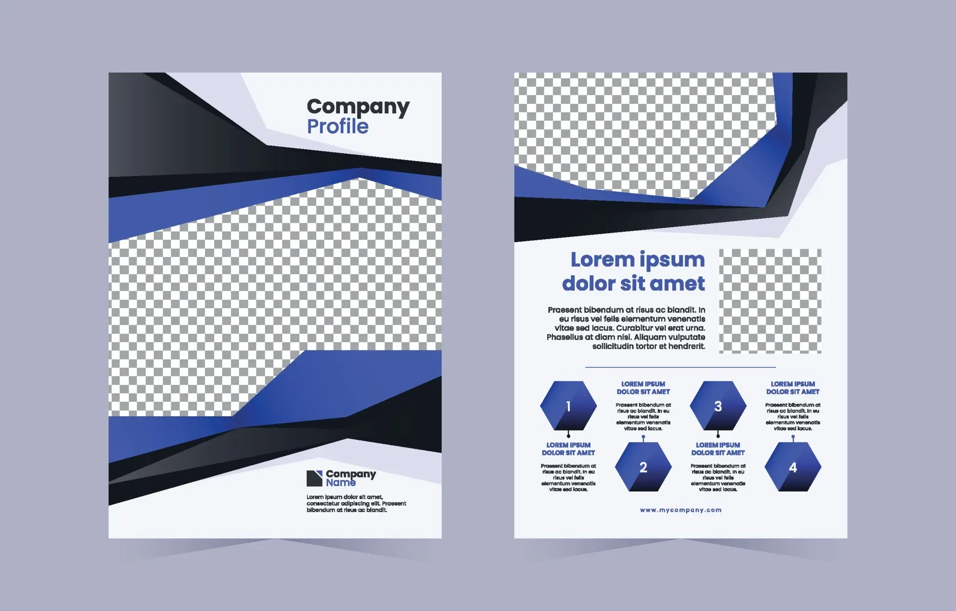 Modern Black and Blue Company Profile