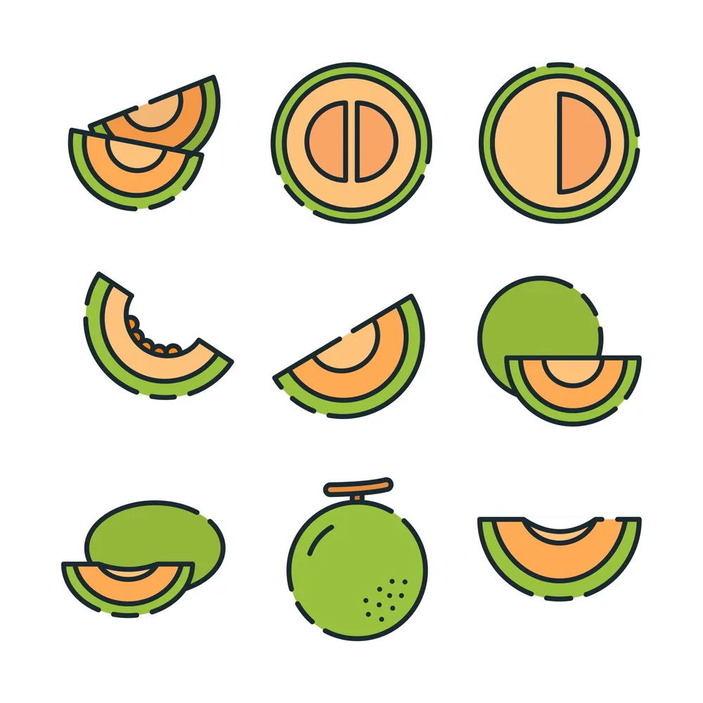 Melon Icon Collection