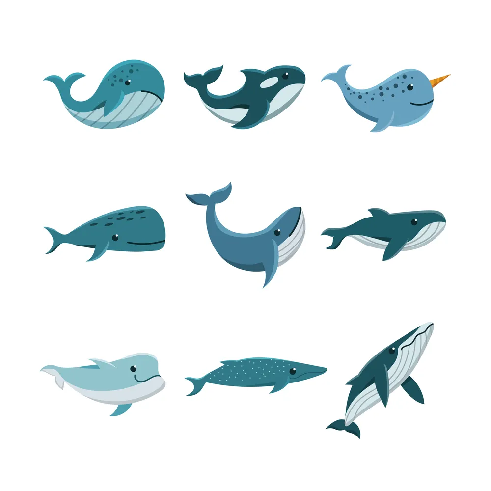 Various Whale Icon Collection