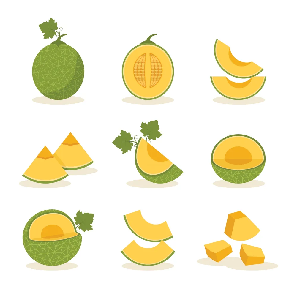 Set of Melon Fruit Icons