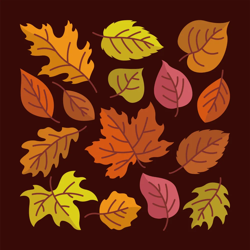 Fallen Leaves Flat Element Icon Creative Layout