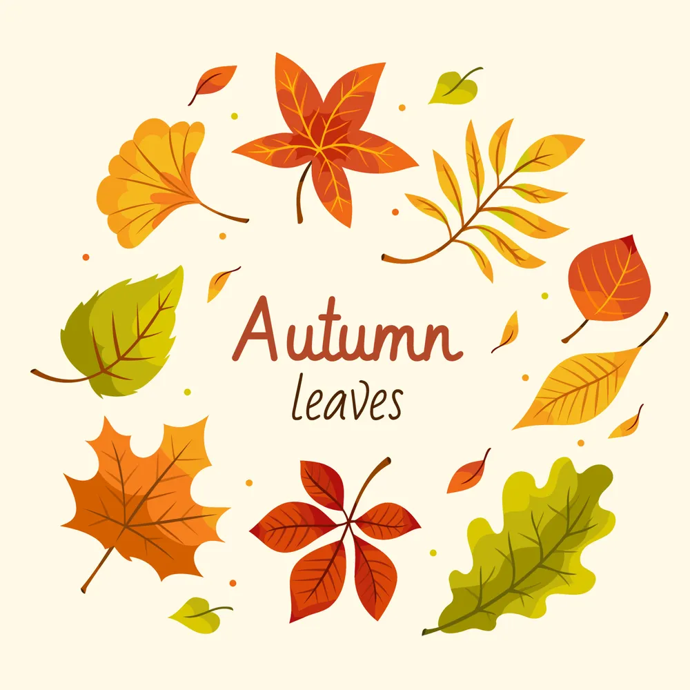 Autumn Fallen Leaves