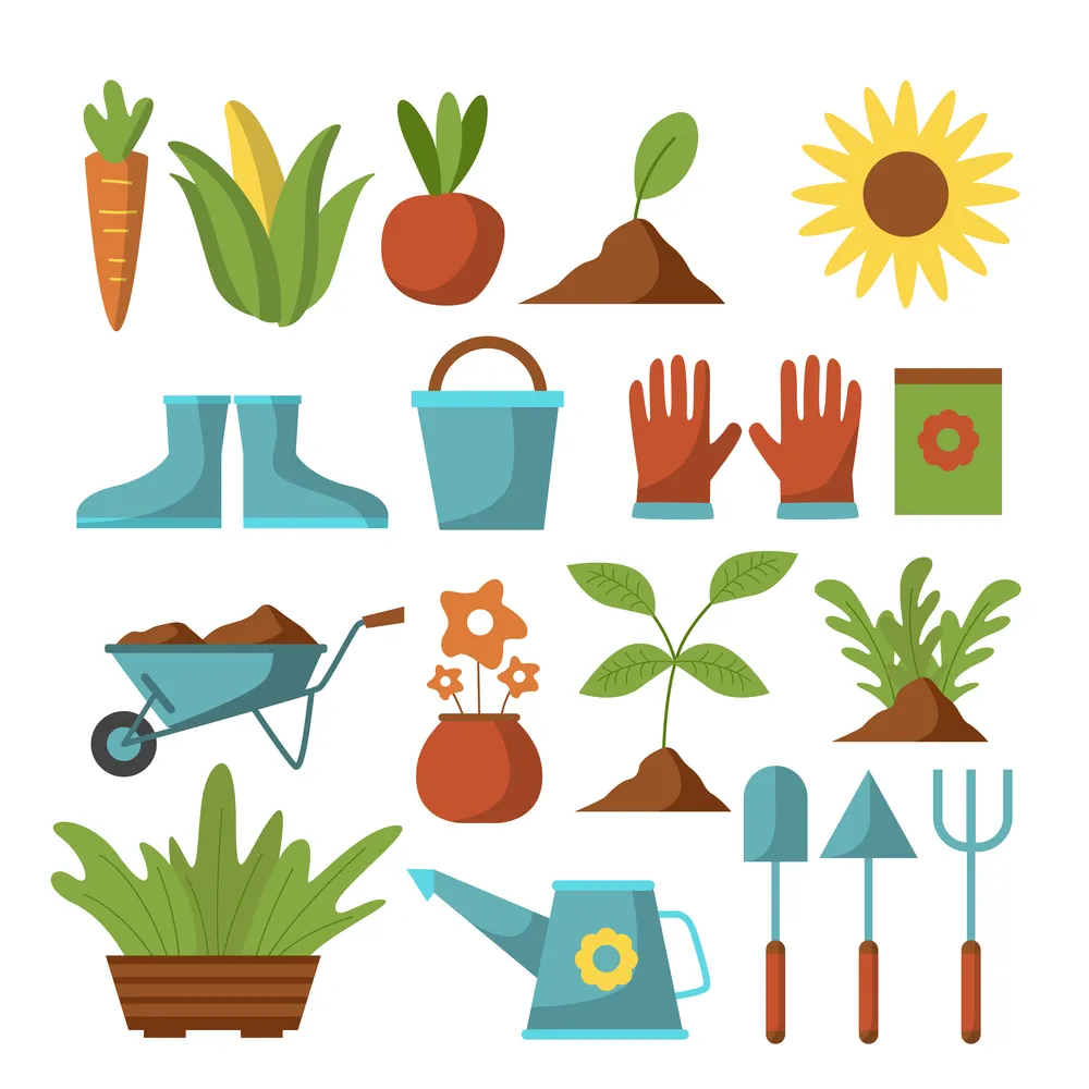 A Wide Variety of Gardening Tools and Plants