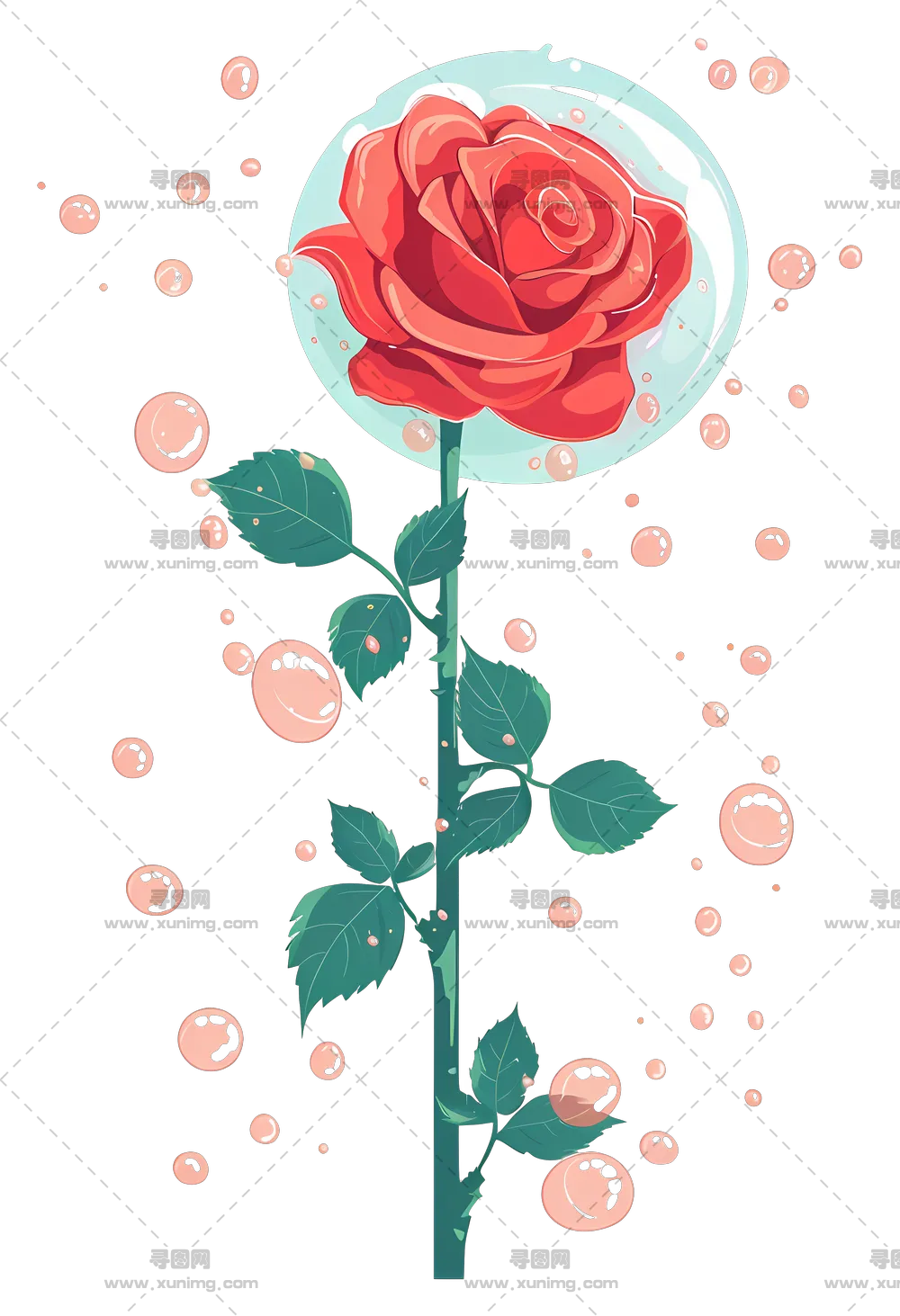 红色玫瑰花和气泡插画PNG免抠图预览图